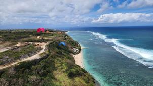 Puffin and Gracchio in Bali