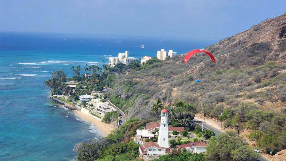 Urubu at Diamond Head Hawaii